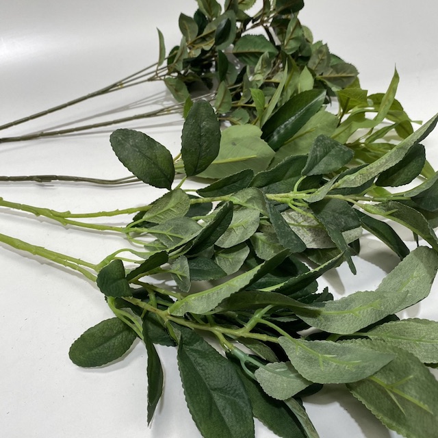 FOLIAGE, Greenery Stems or Spray (Various)